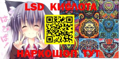 a pvp Свободный