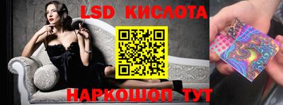 a pvp Свободный