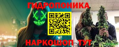 a pvp Свободный