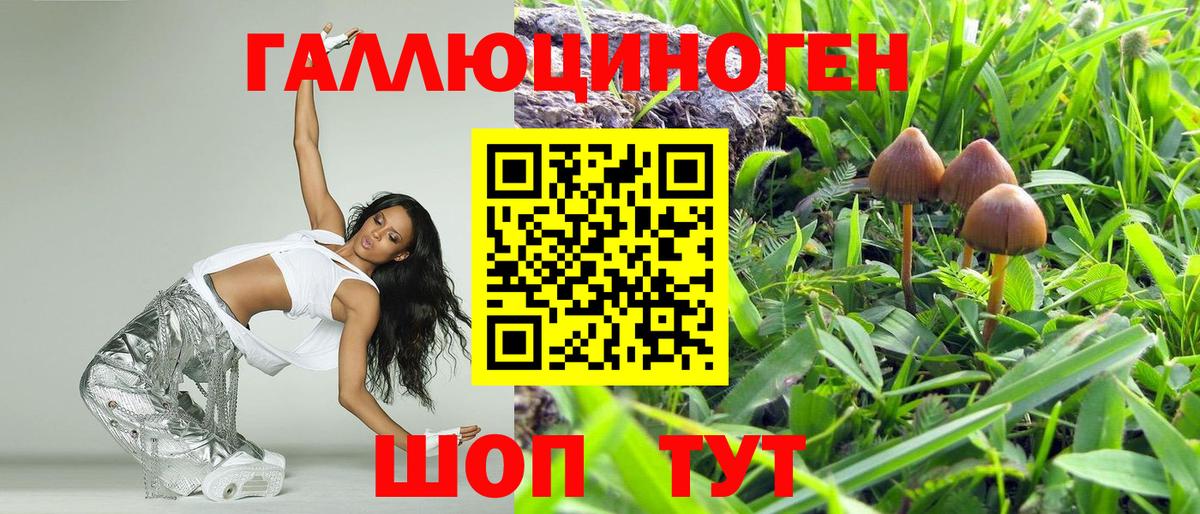Симферополь  цена   Вход с VPN  Псилоцибиновые грибы мицелий 