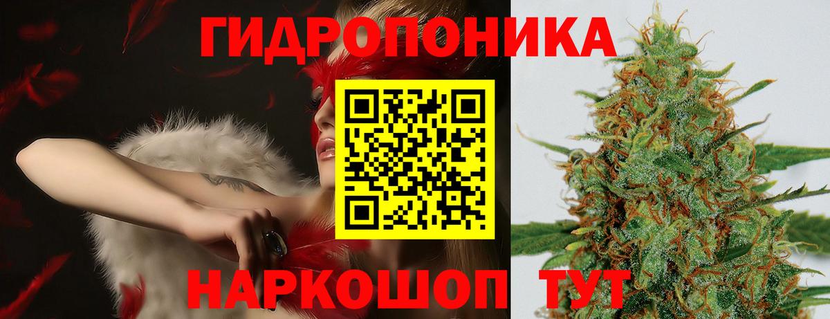 Марихуана White Widow  Вход с VPN  Шишки марихуана планчик  Симферополь 